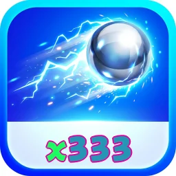 x333